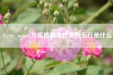 莱芜九宫格数字代表的五行是什么