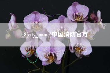 莱芜中国消防官方