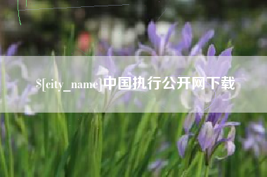 莱芜中国执行公开网下载