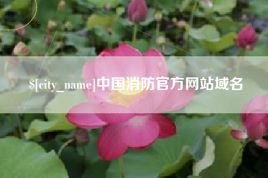 莱芜中国消防官方网站域名