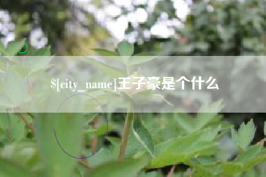 莱芜王子豪是个什么