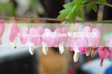 莱芜中国5000米国家记录