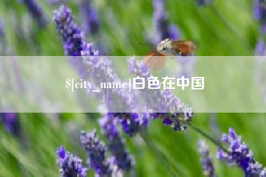 莱芜白色在中国
