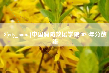 莱芜中国消防救援学院2020年分数线