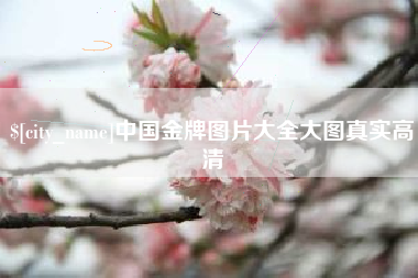 莱芜中国金牌图片大全大图真实高清