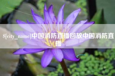 莱芜中国消防直播回放中国消防直播