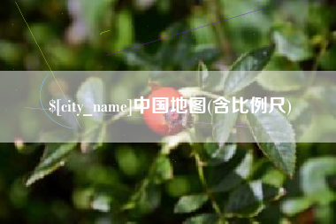 莱芜中国地图(含比例尺)