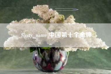 莱芜中国第十个金牌