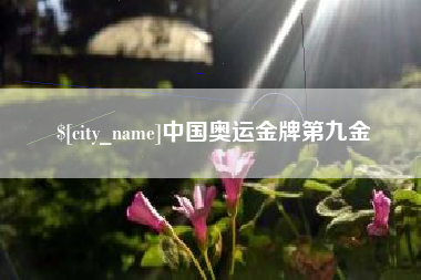 莱芜中国奥运金牌第九金