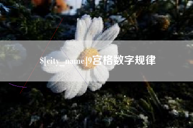 莱芜9宫格数字规律