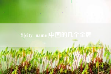 莱芜中国的几个金牌