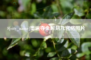 莱芜奥运夺金时刻九宫格图片