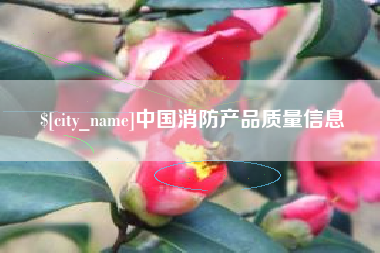 莱芜中国消防产品质量信息