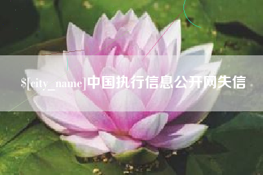 莱芜中国执行信息公开网失信