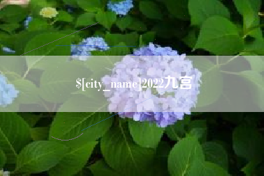 莱芜2022九宫