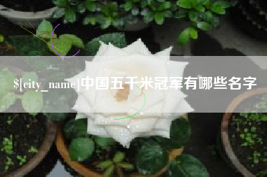 莱芜中国五千米冠军有哪些名字