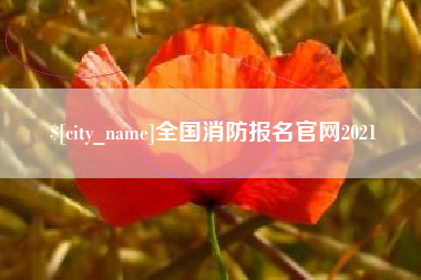 莱芜全国消防报名官网2021