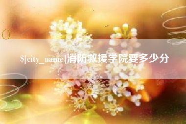 莱芜消防救援学院要多少分