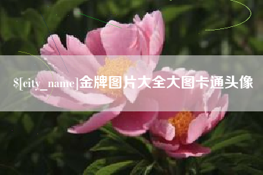 莱芜金牌图片大全大图卡通头像