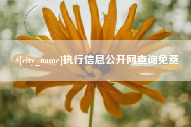 莱芜执行信息公开网查询免费