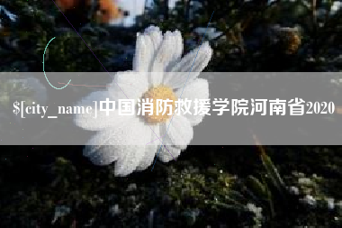 莱芜中国消防救援学院河南省2020